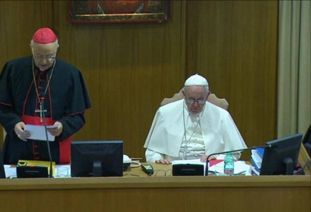 La relazione del cardinale Baldisseri