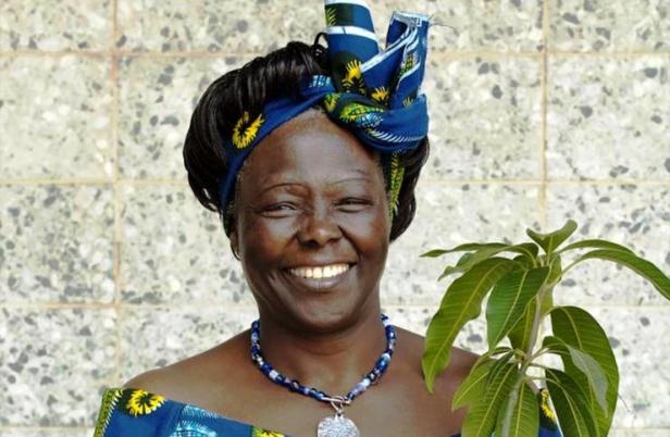 Wangari Maathai, Freedom Fighter