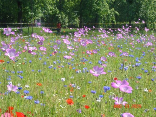 silenzio e solitudine, luce e bellezza, preghiera e contemplazione  (67)